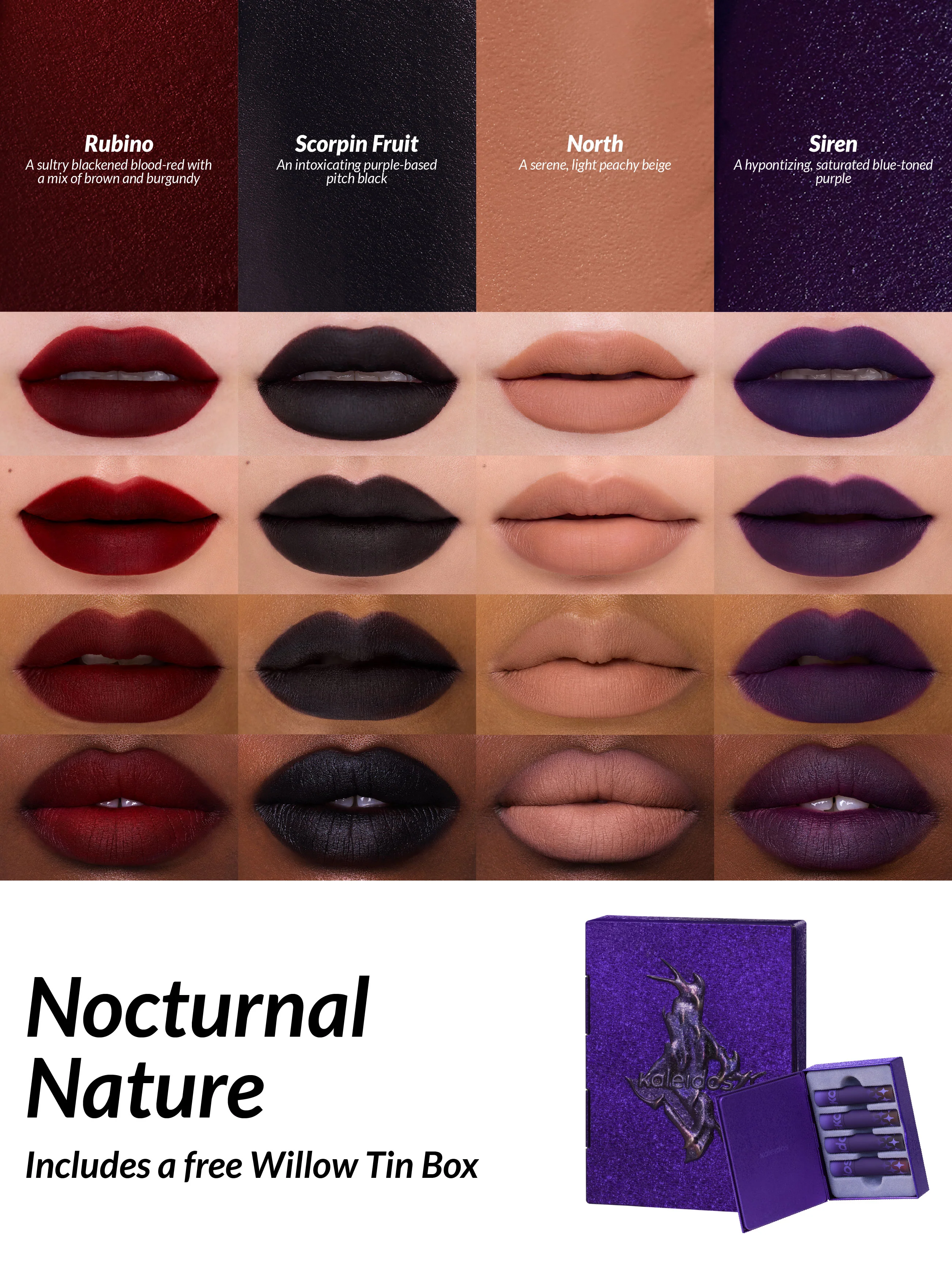 Nocturnal Nature - Image 3